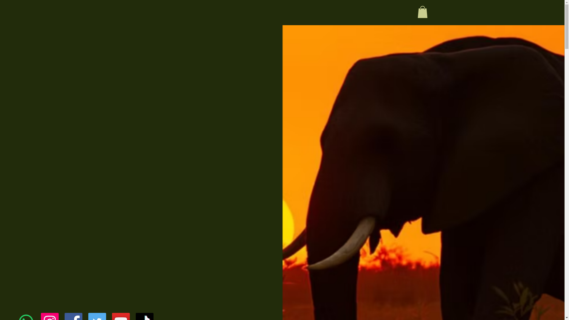 website screenshot of https://buffalosoldiersafaris.com/