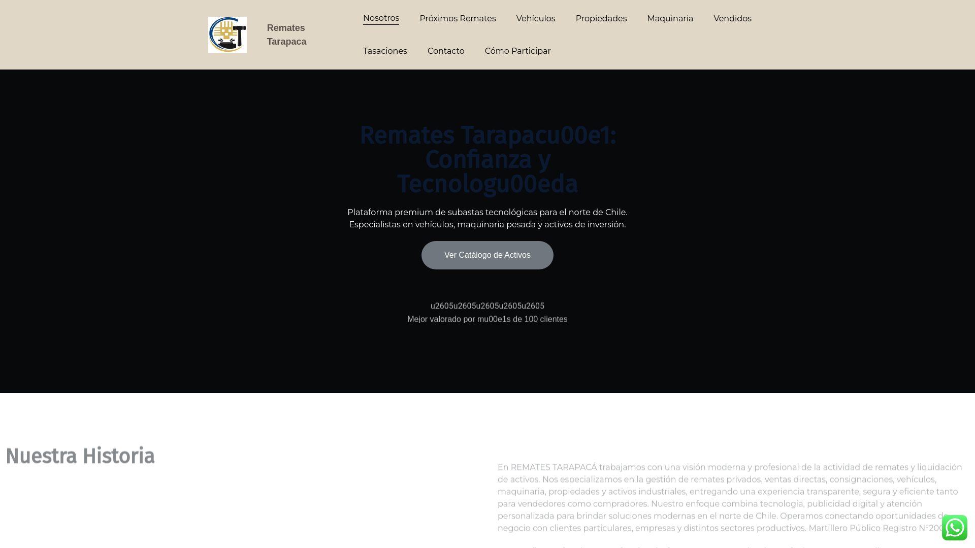 website screenshot of https://rematestarapaca.cl/