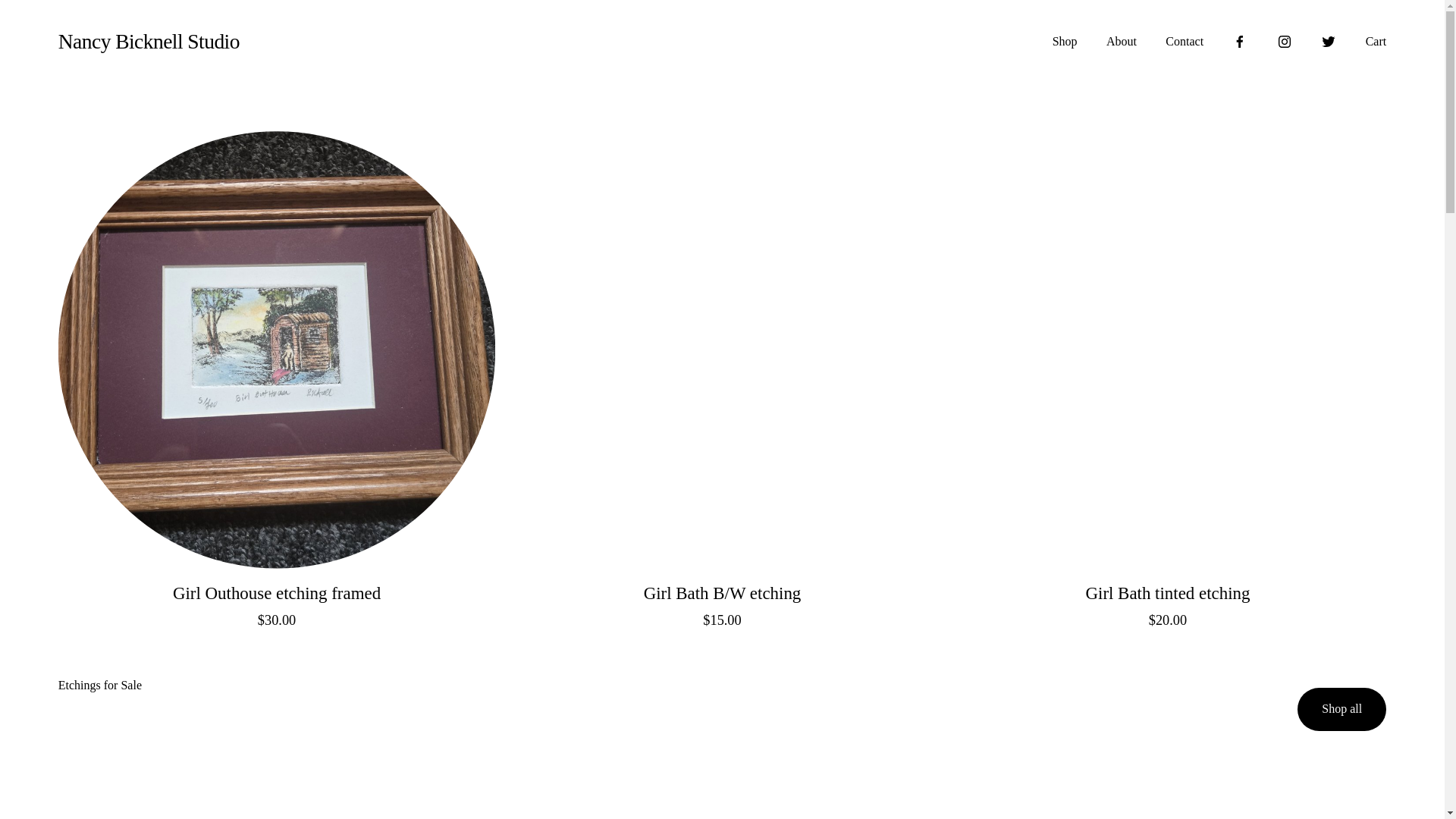website screenshot of https://nancybicknellstudios.com/