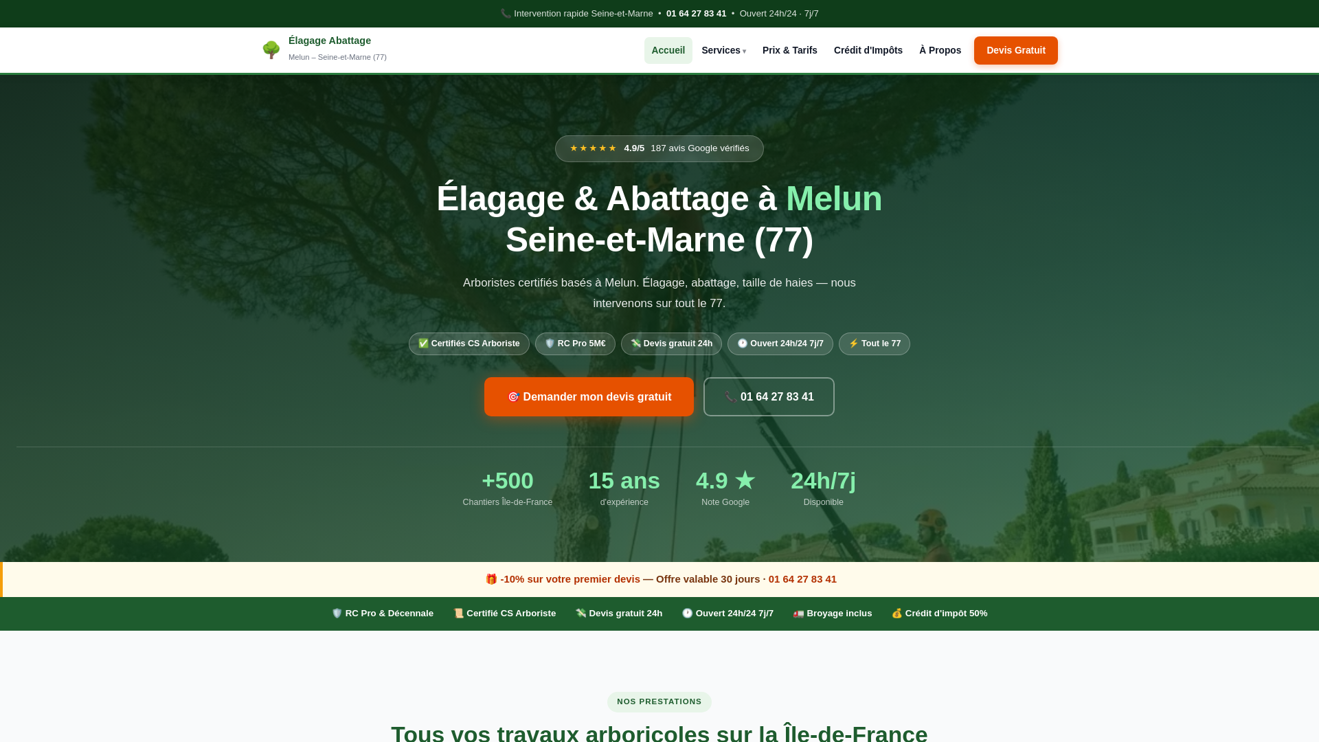 website screenshot of https://seine-et-marne-elagage-abattage.fr/