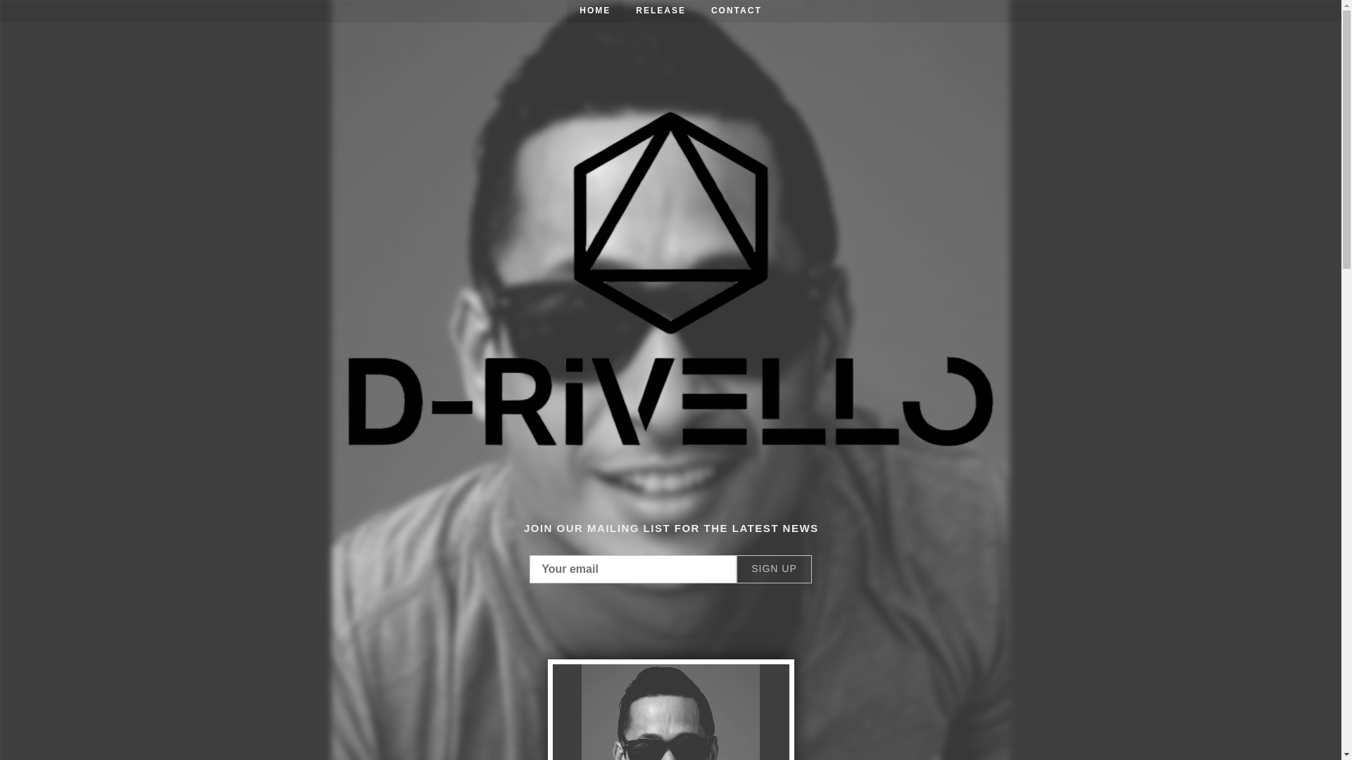 website screenshot of https://d-rivello.com/