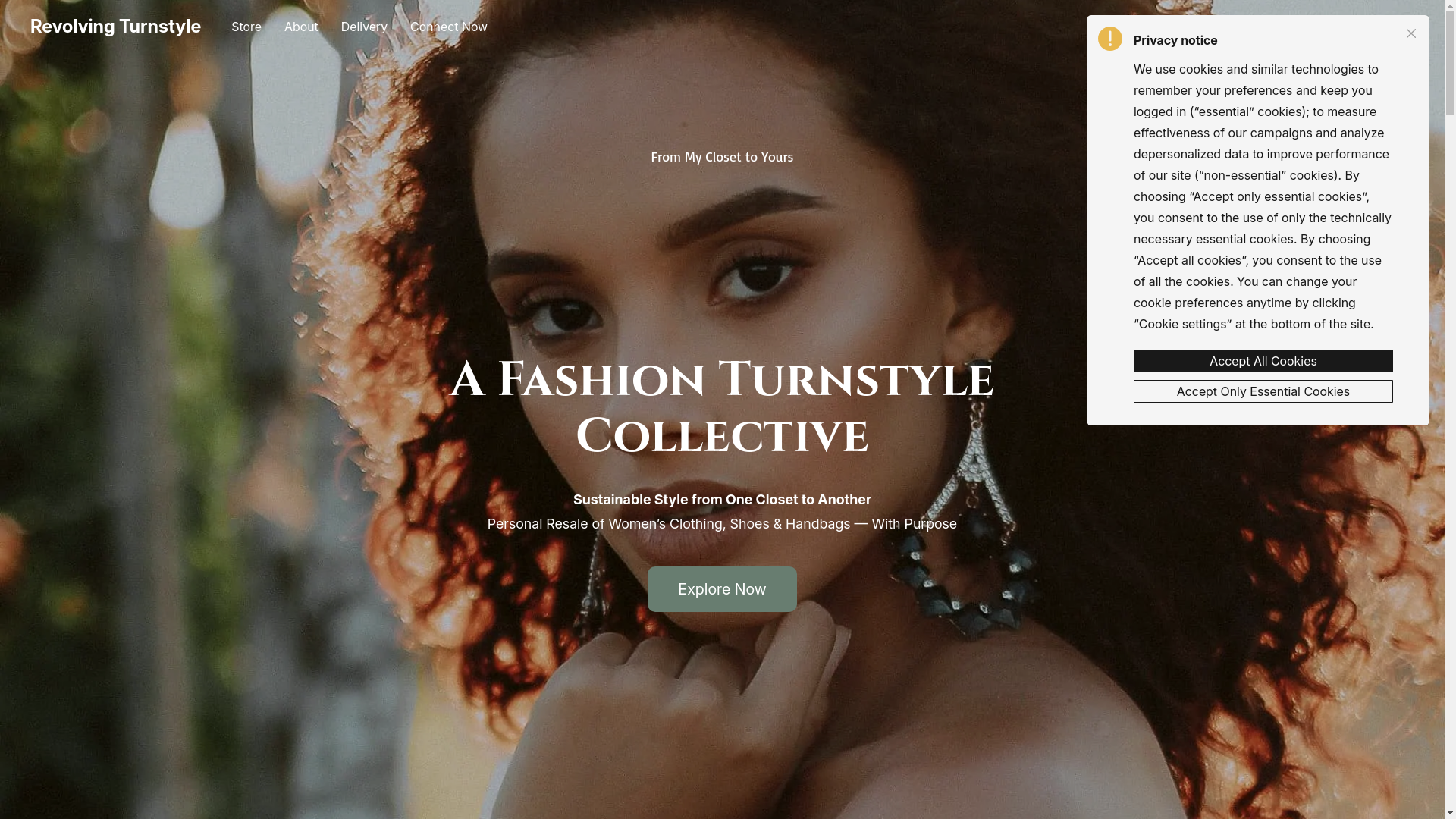 website screenshot of https://revolvingturnstyle.com/