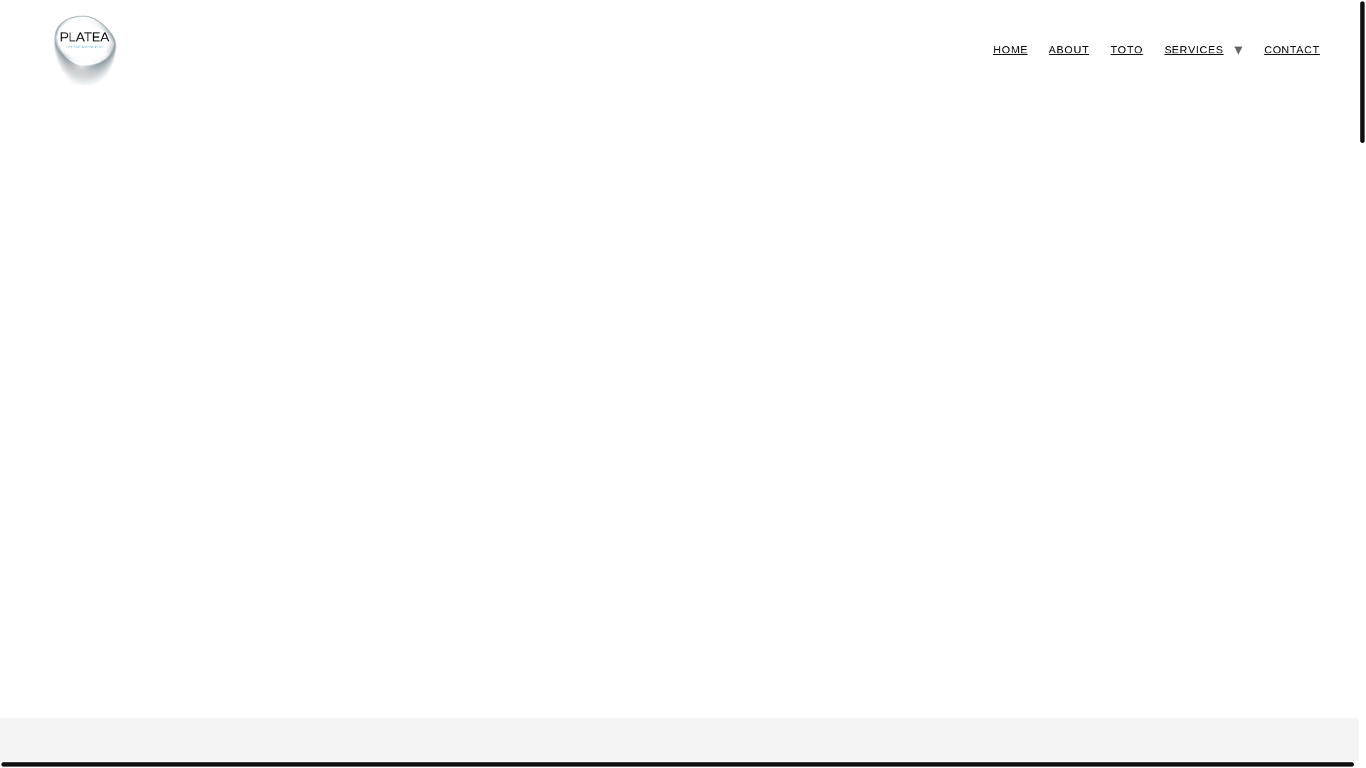 website screenshot of https://platea-milano.it/