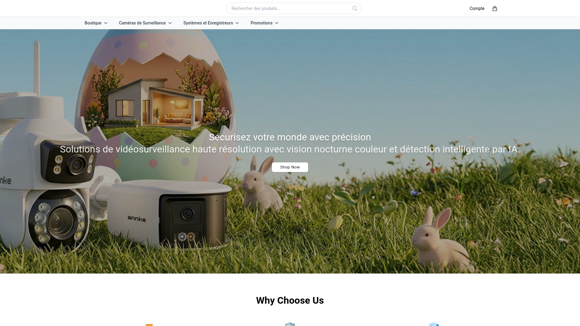 website screenshot of https://getannke.shop