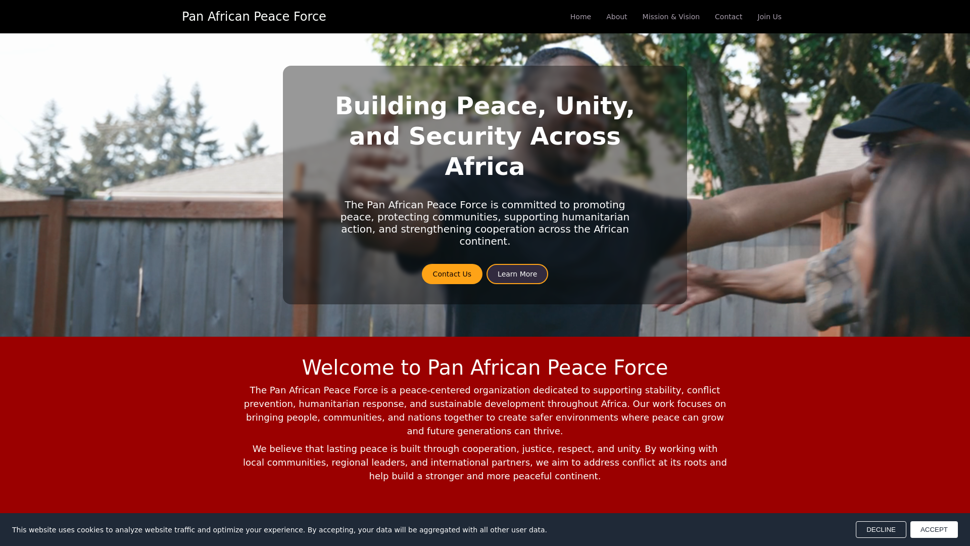 website screenshot of https://panafricanpeaceforce.org/