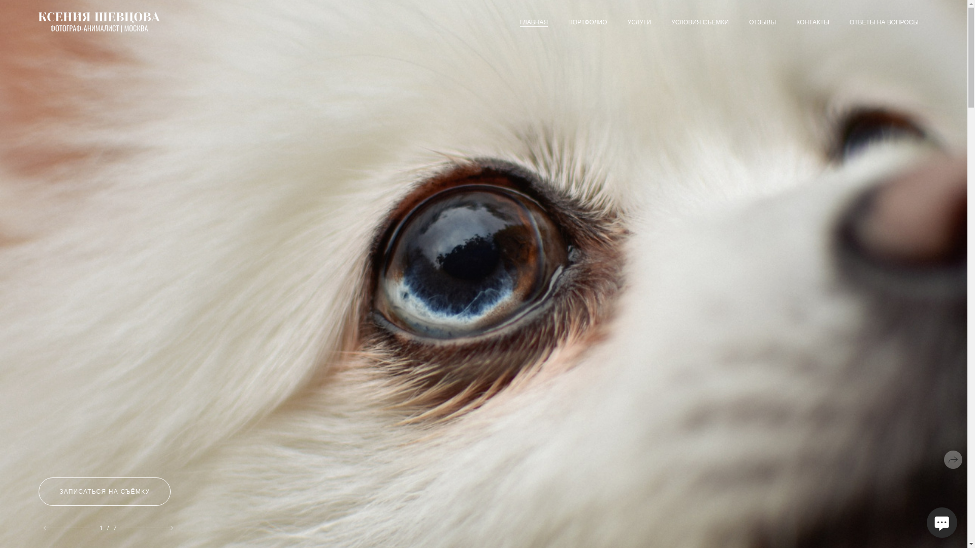 website screenshot of https://ksenia-animals.ru/