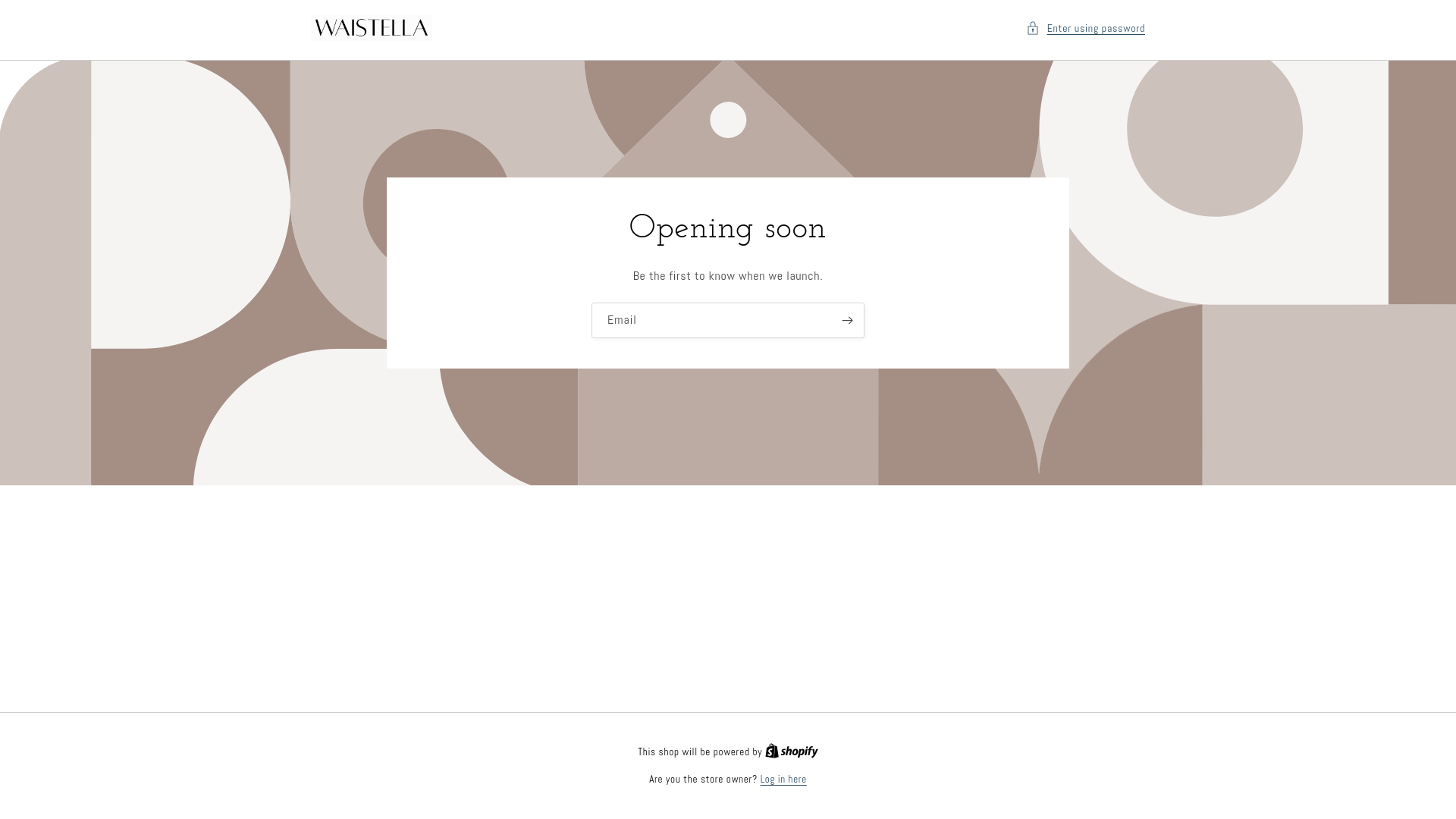 website screenshot of https://waistella.com/