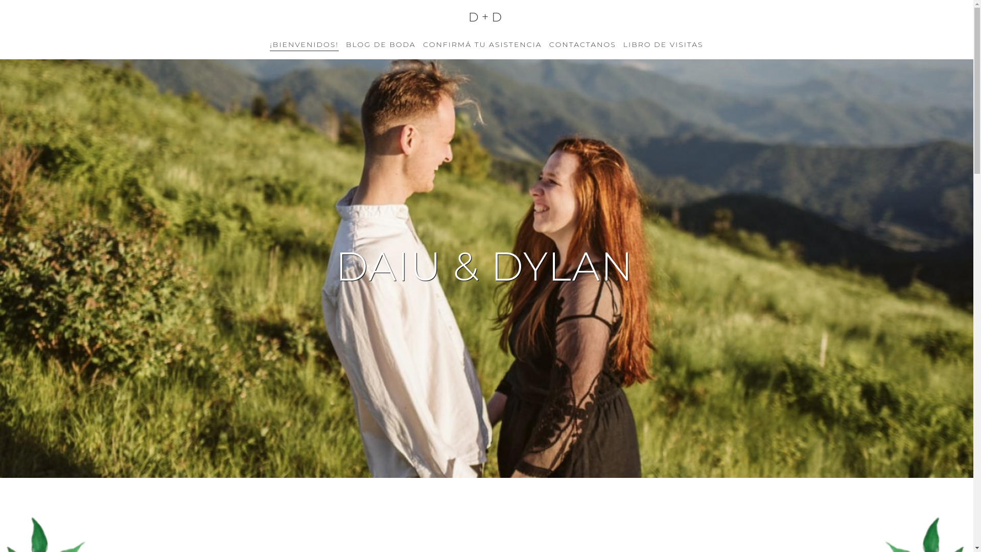 website screenshot of https://daiuydylan.com/