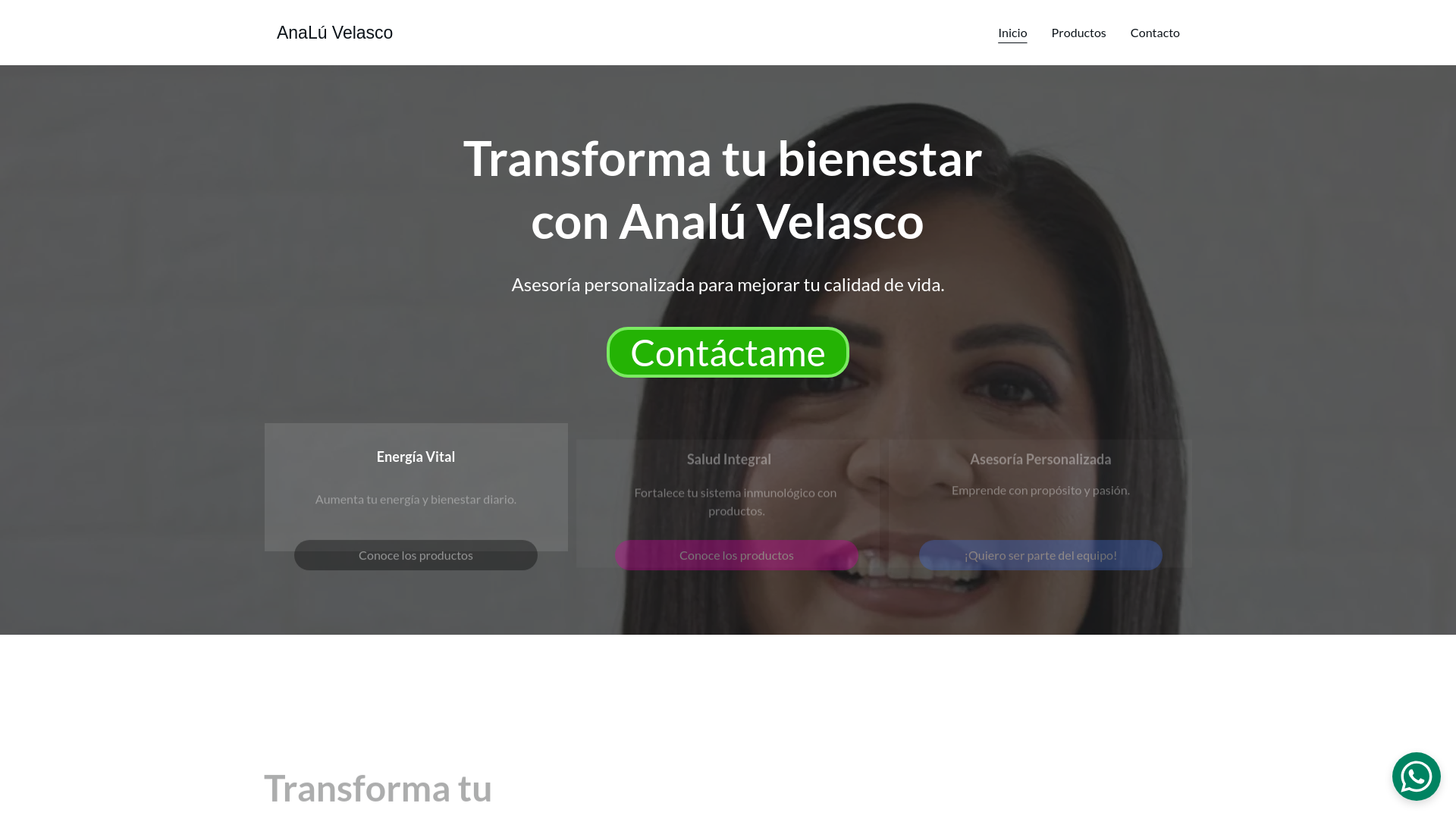 website screenshot of https://analuvelasco.com.mx/
