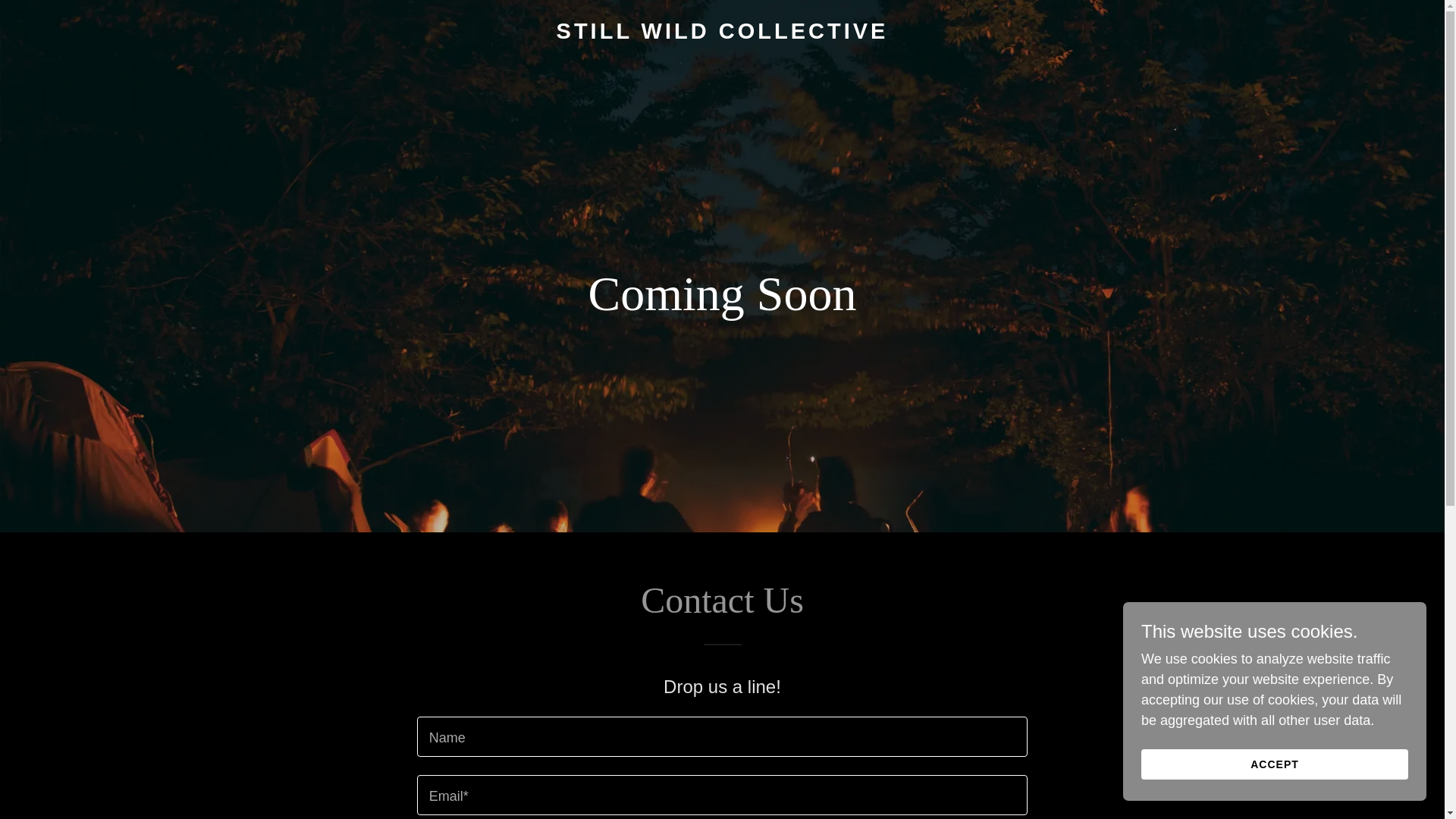 website screenshot of https://stillwildcollective.ca/