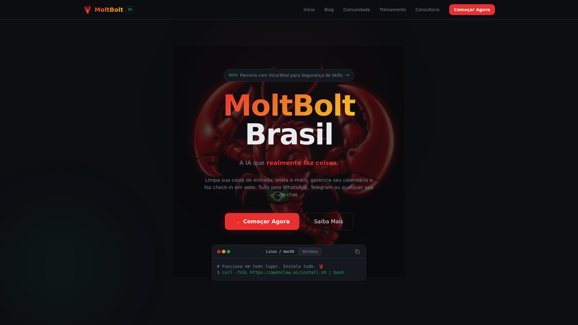 website screenshot of https://moltbolt.com.br/