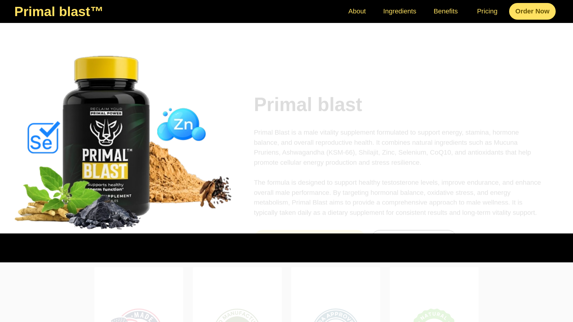 website screenshot of https://en-en-primalblast.com/