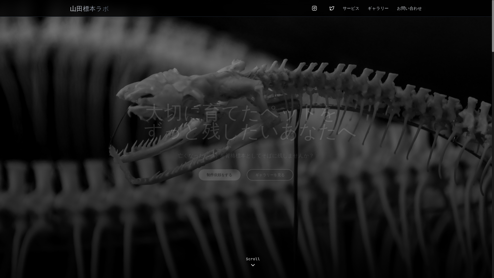 website screenshot of https://yamadahyouhon.pages.dev/