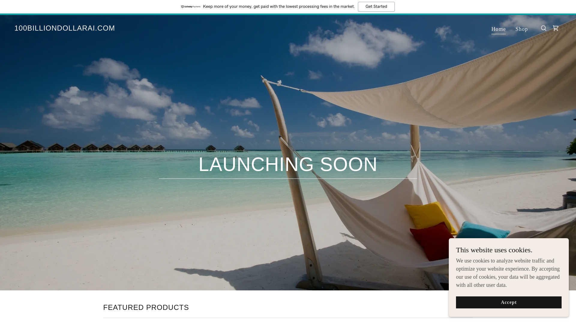 website screenshot of https://100billiondollarai.com/