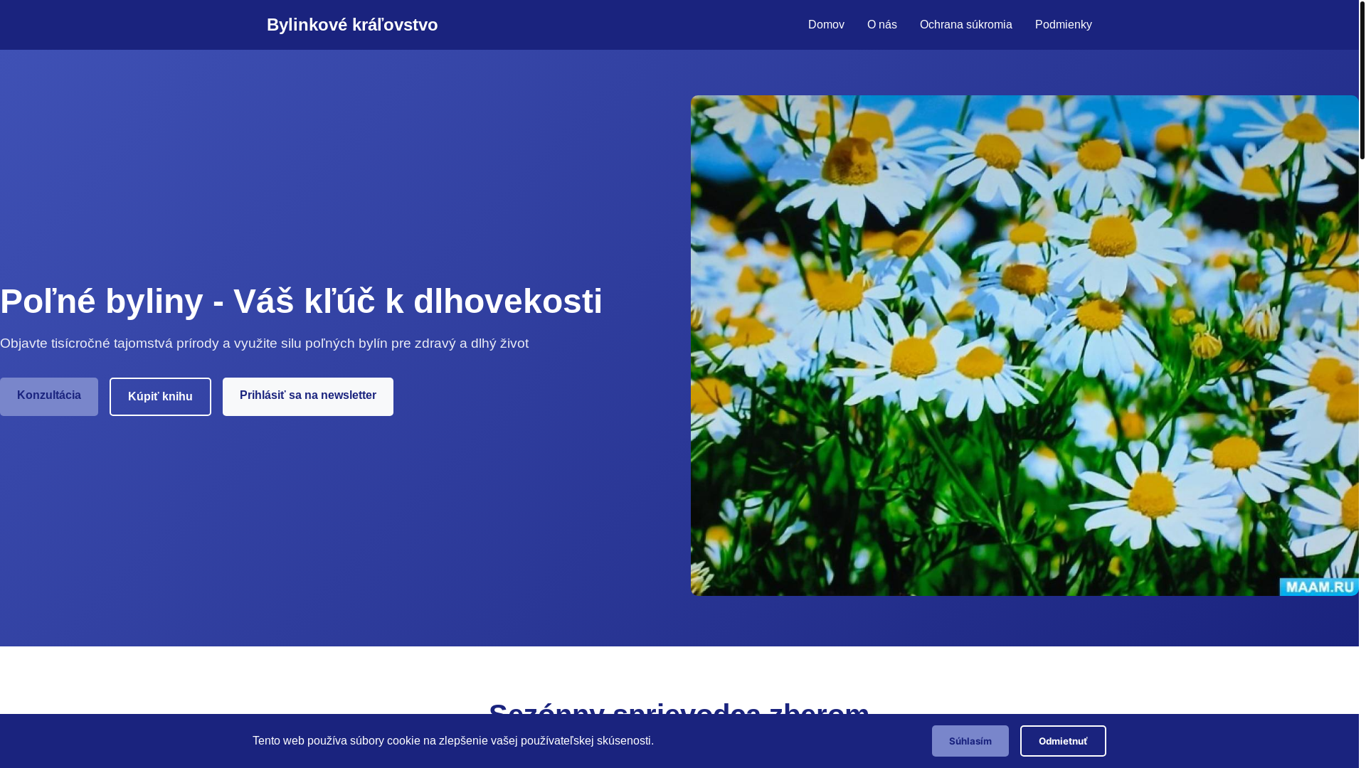 website screenshot of https://cyberpmd2wmnetwork.sbs/