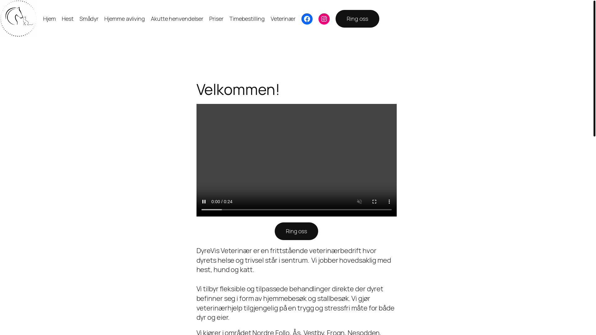 website screenshot of https://dyrevisvet.no/