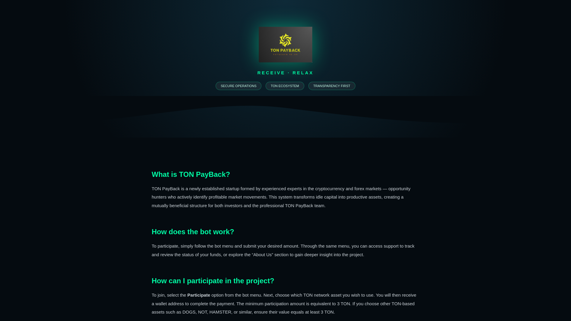 website screenshot of https://tonpayback.pages.dev/