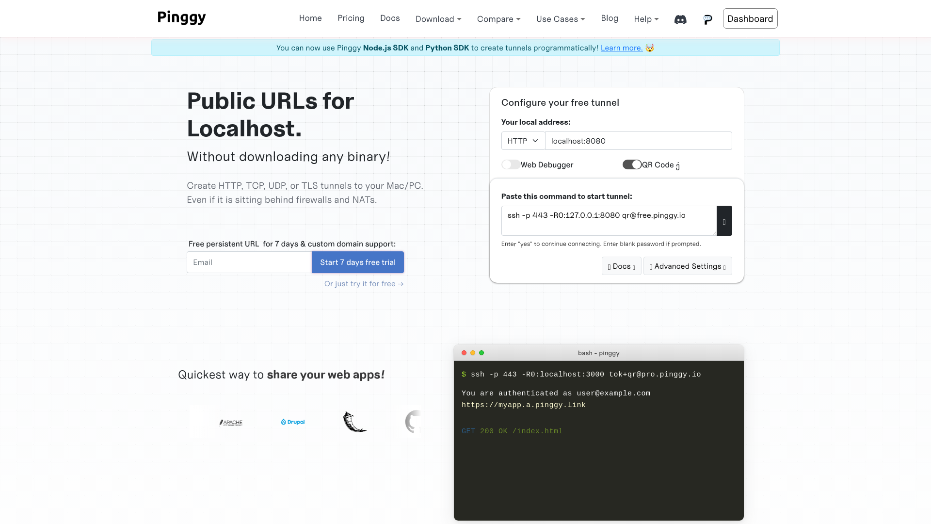 website screenshot of https://pinggy.io/