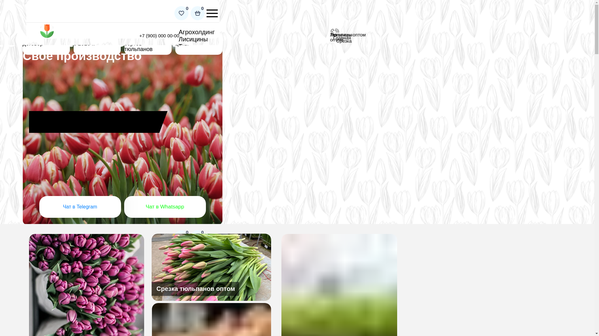 website screenshot of https://listeplitsy.ru/
