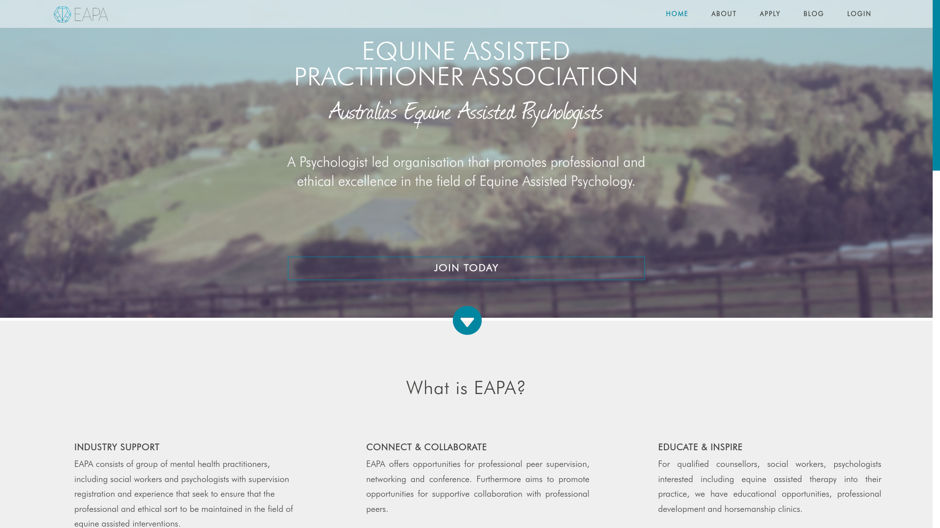 website screenshot of https://equineassistedpractitioneraustralia.online/