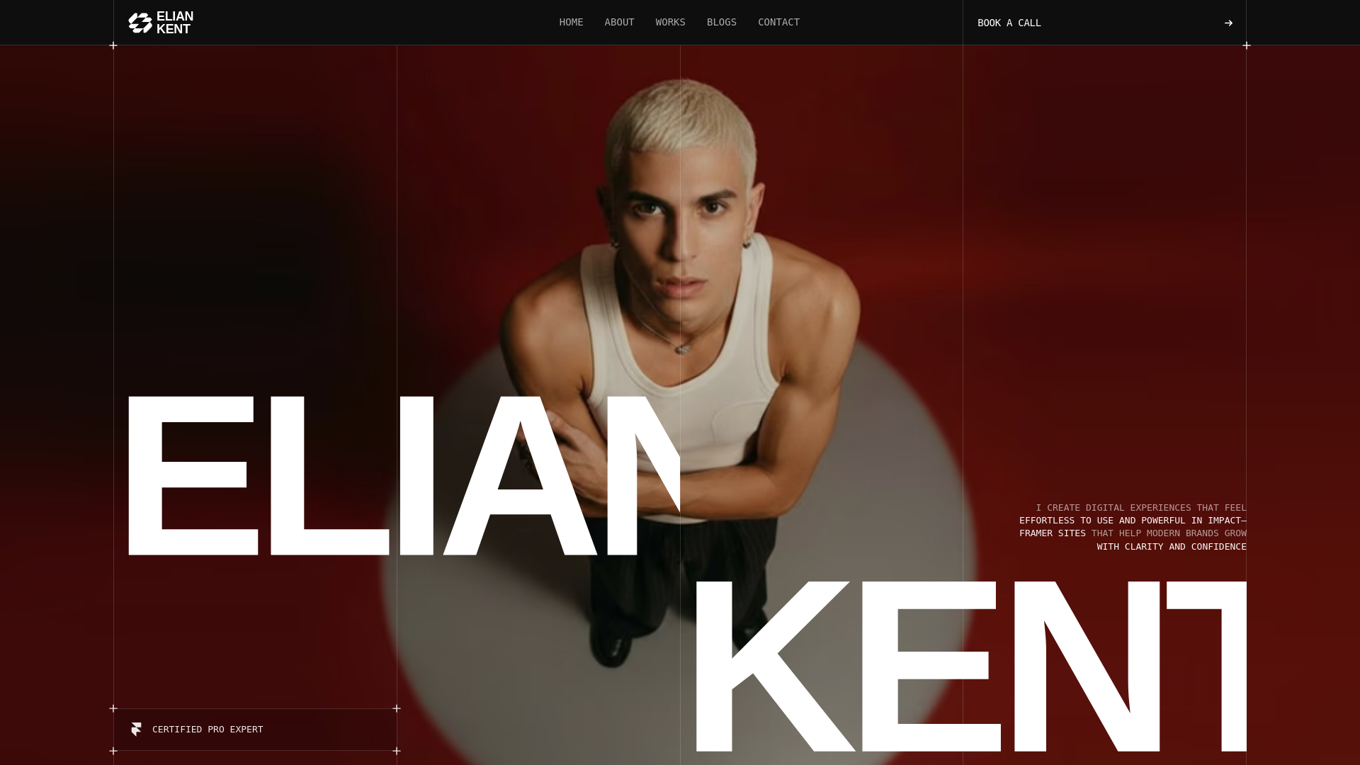 website screenshot of https://temporalopticway.info/