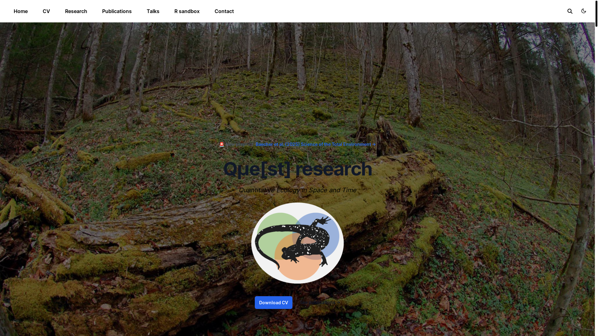 website screenshot of https://questlab.dev/