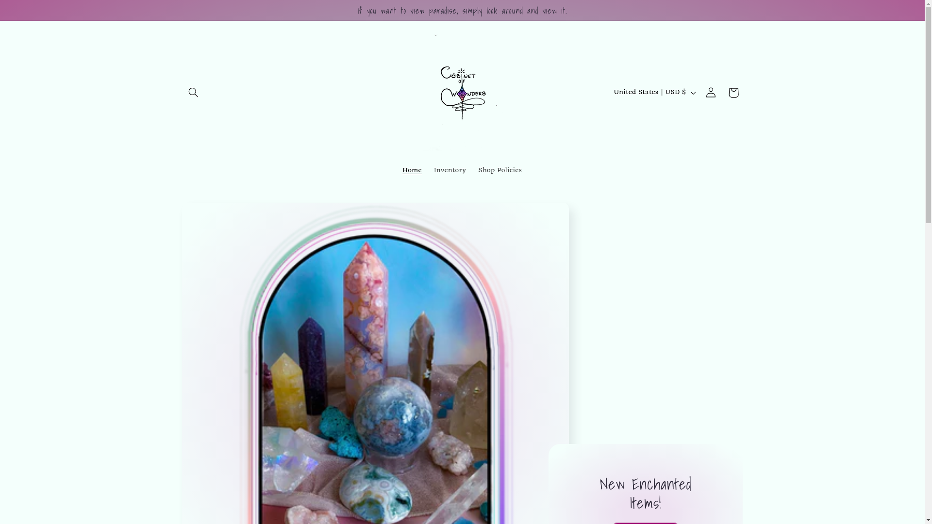 website screenshot of https://cabinetofwonders.co/