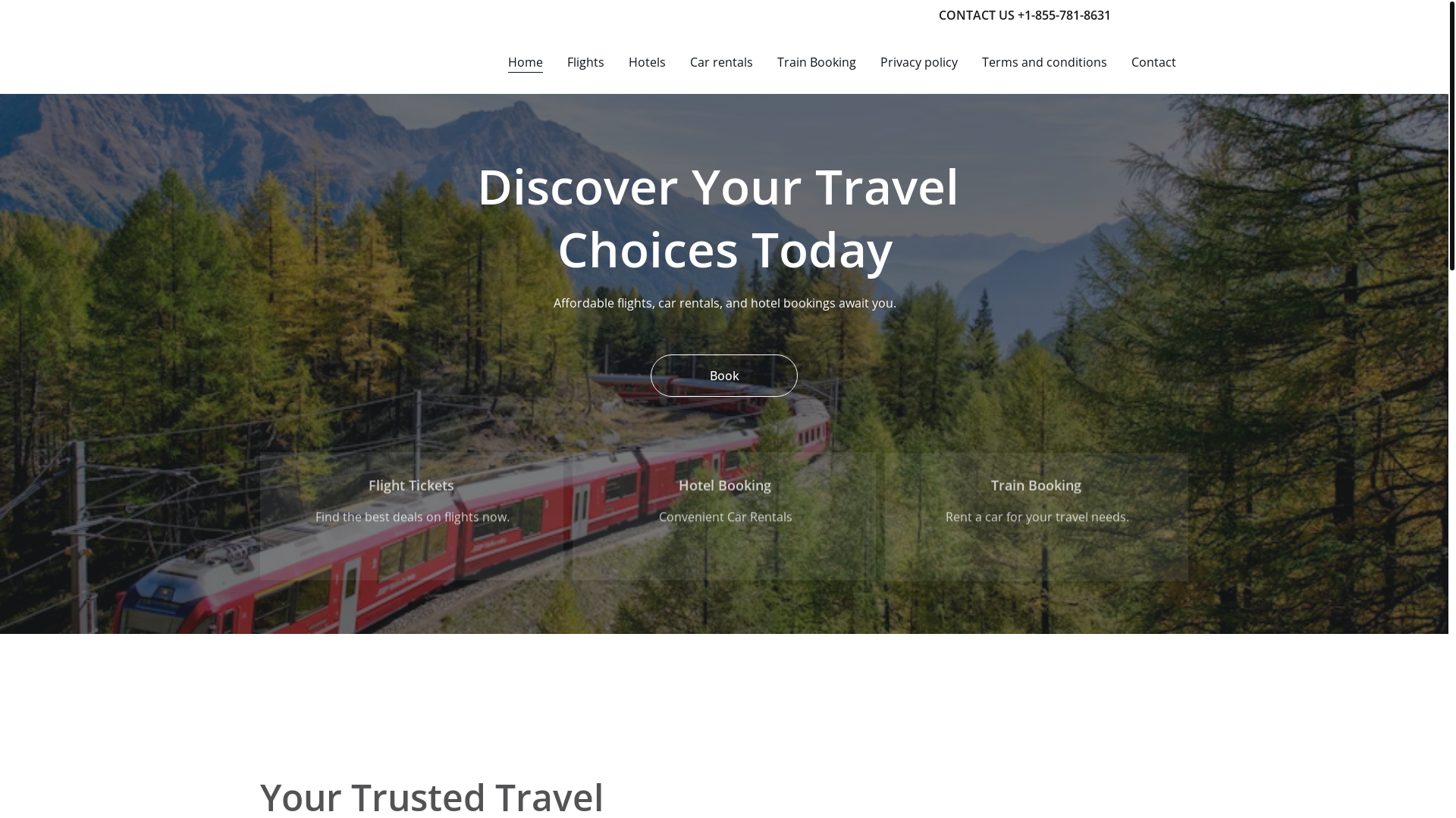 website screenshot of https://pltrain.online/