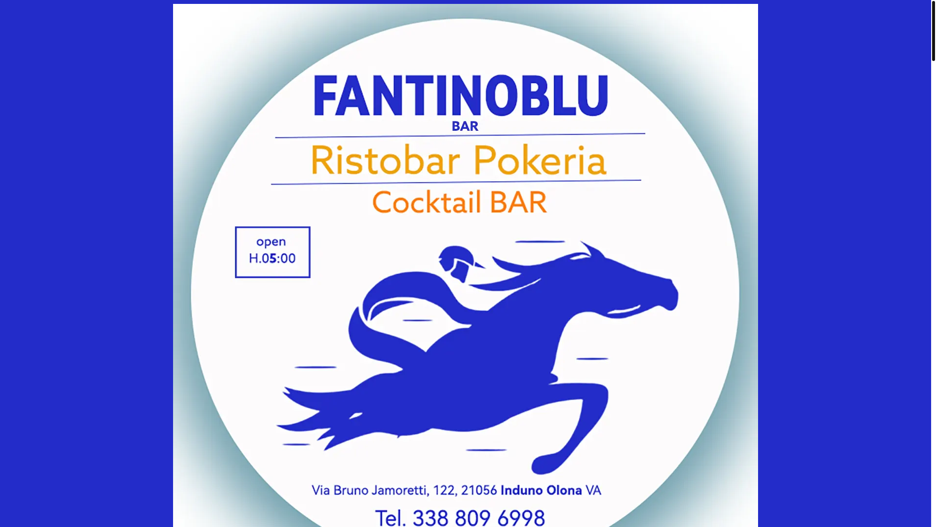 website screenshot of https://fantinoblu.com/