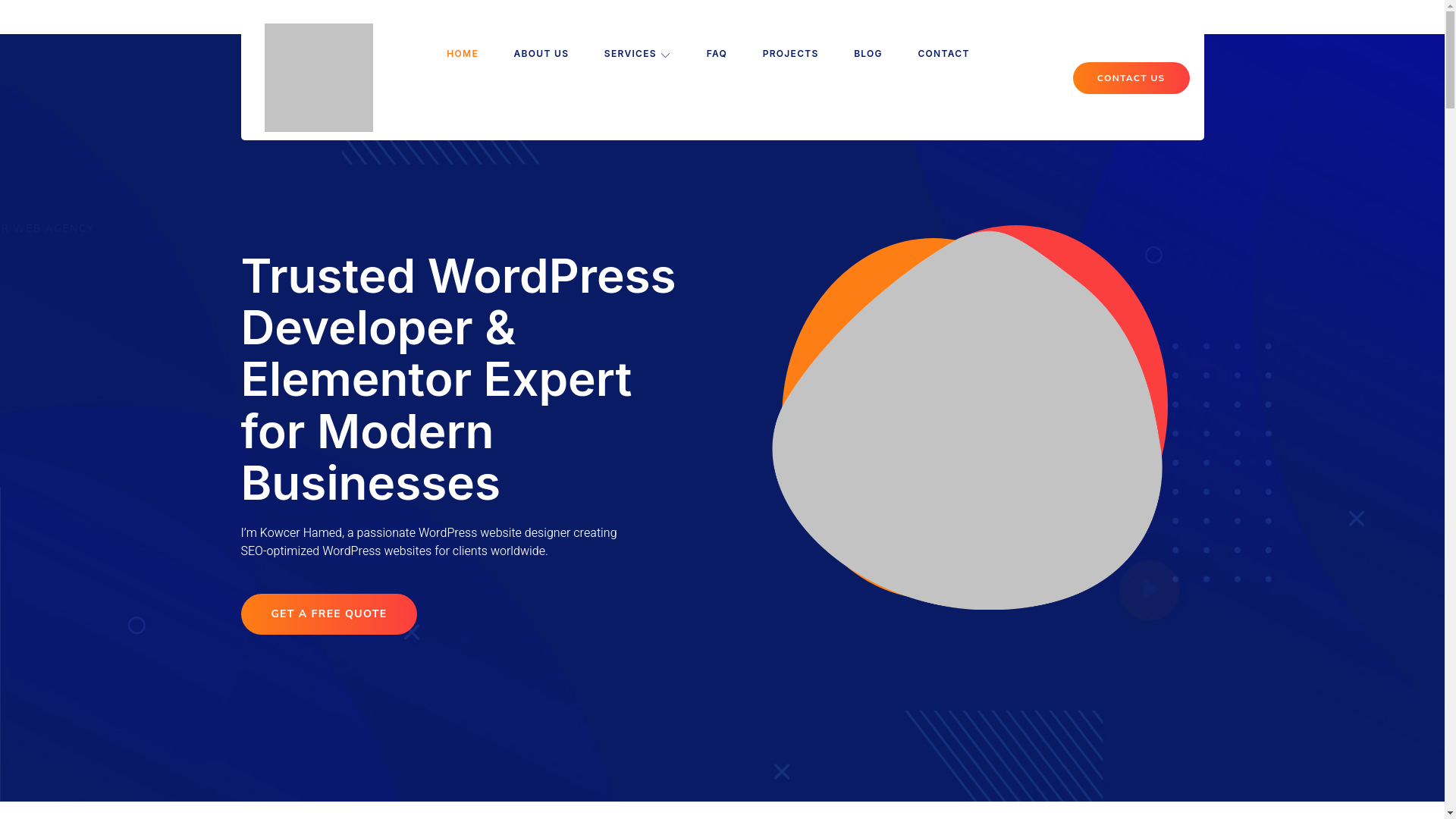 website screenshot of https://intek.lk/