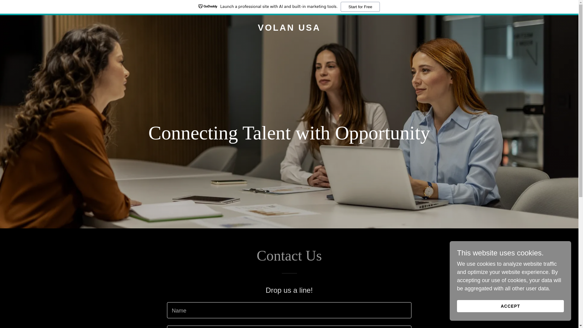 website screenshot of https://volanusa.com/