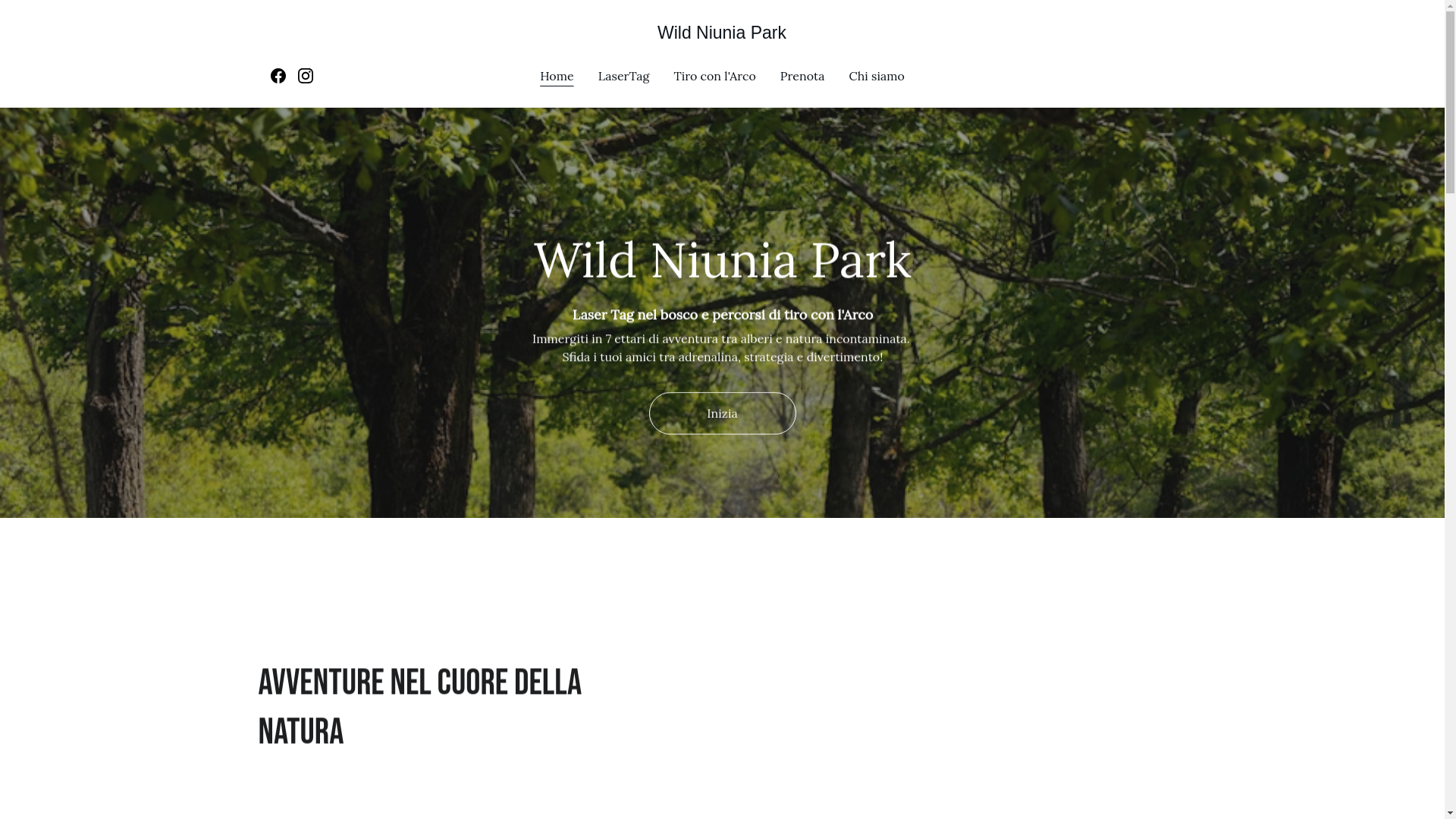 website screenshot of https://wildniuniapark.it/