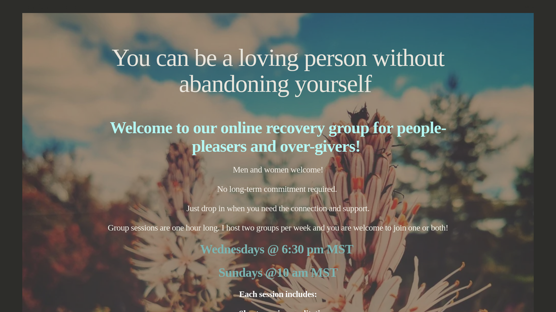 website screenshot of https://heypeoplepleaser.com/