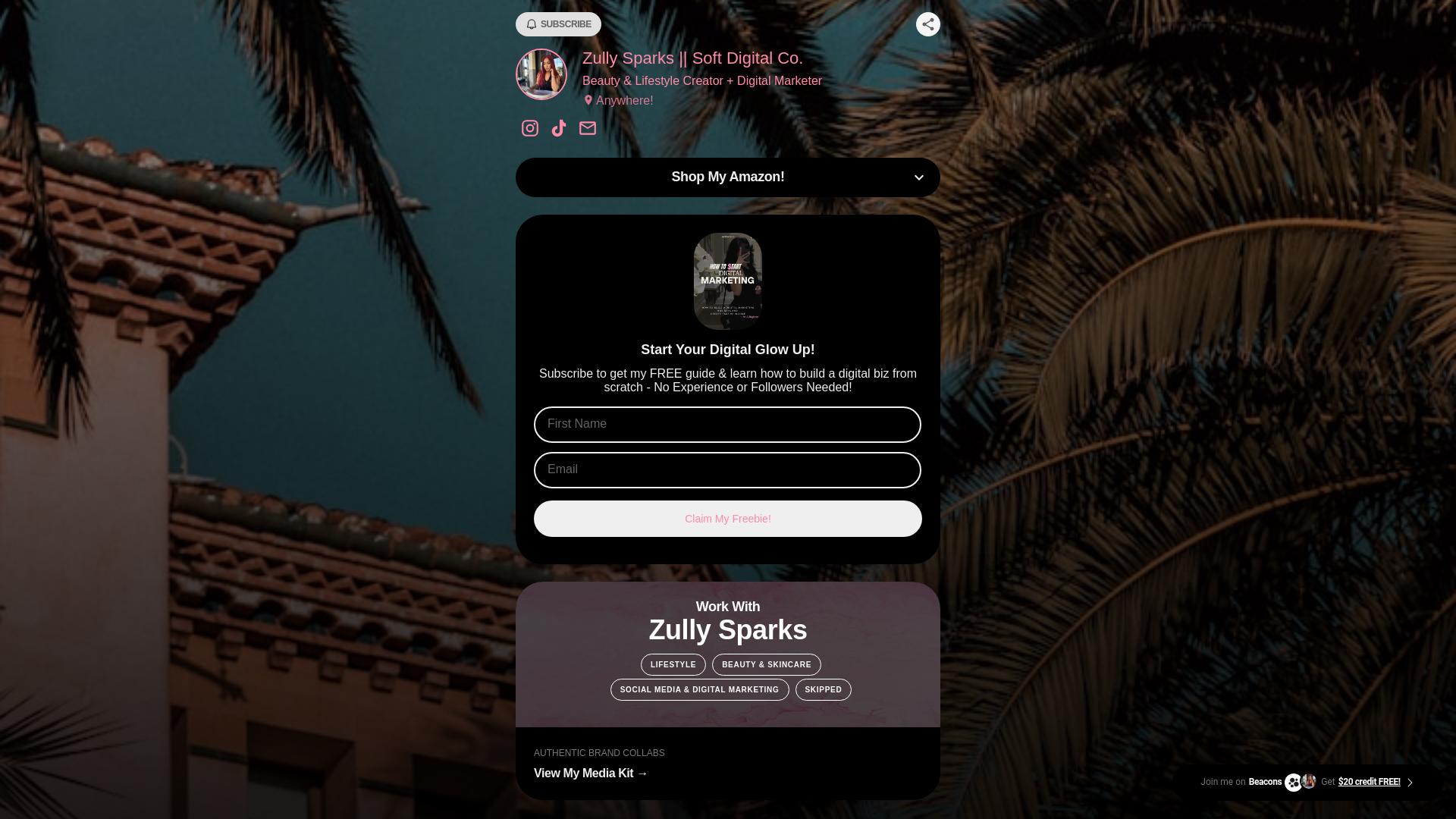 website screenshot of https://softdigitalco.vip/