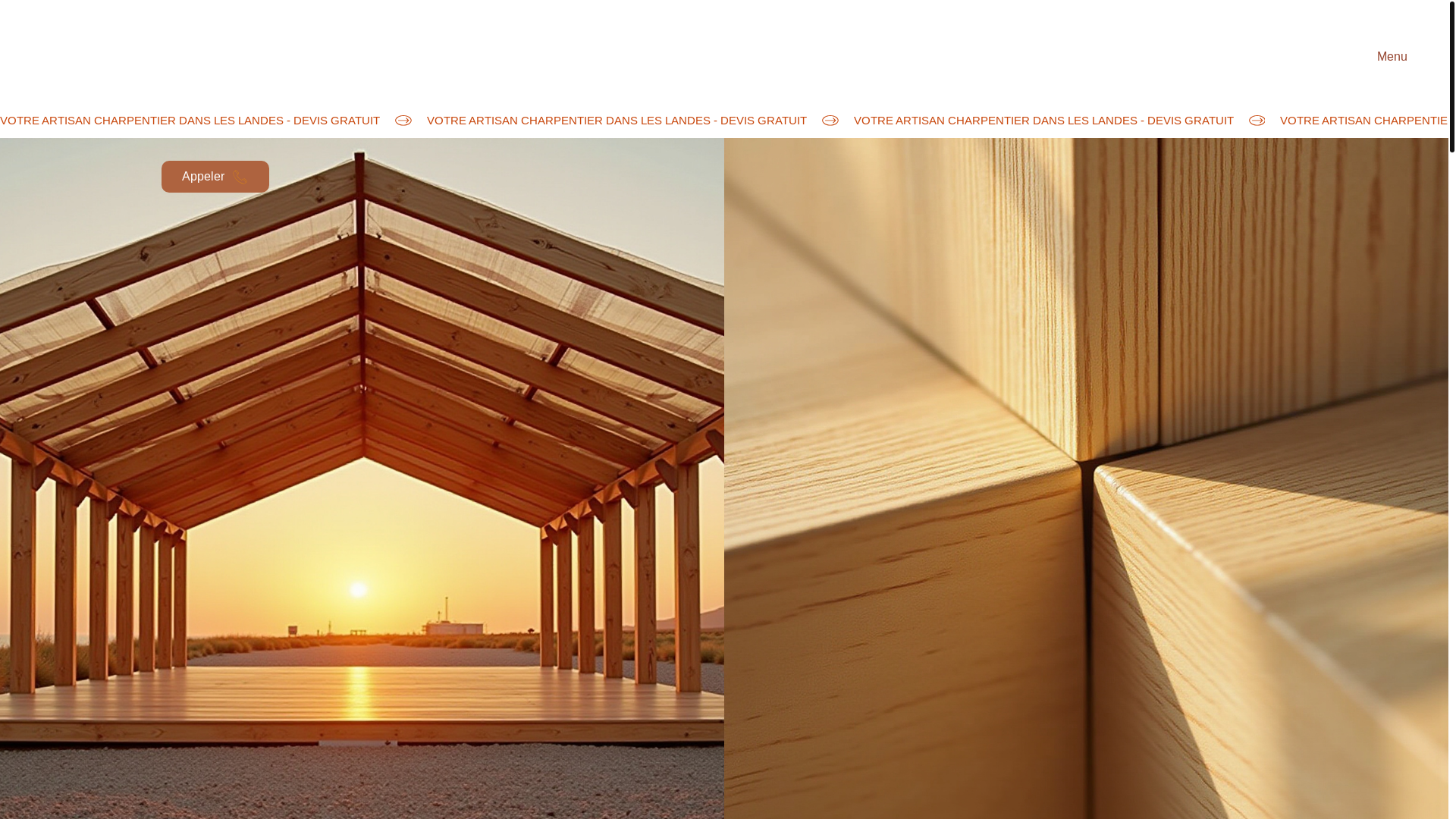 website screenshot of https://njc-charpente-landes.fr/