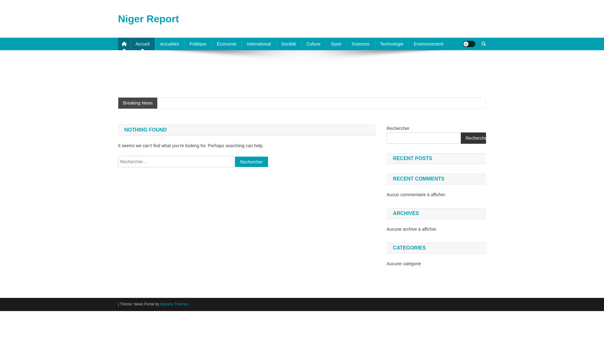 website screenshot of https://nigerreport.net/