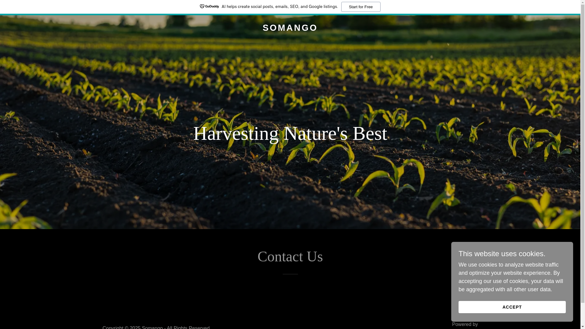 website screenshot of https://somango.in/