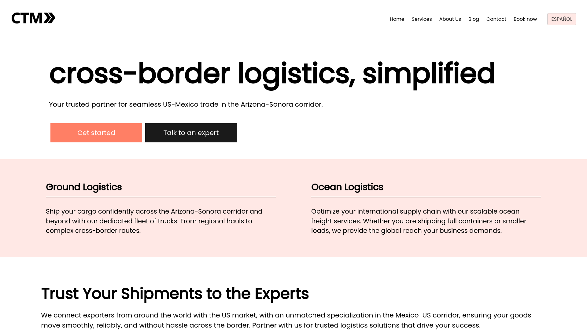 website screenshot of https://ctmgroup.info/