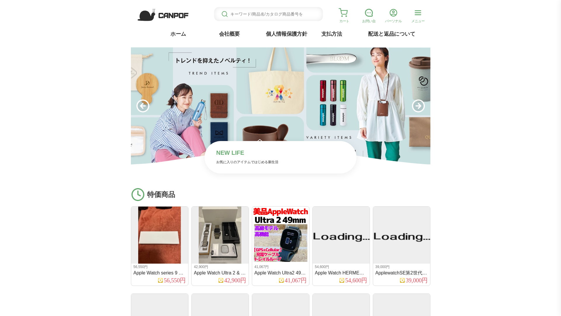 website screenshot of https://canpof.onzqj.click