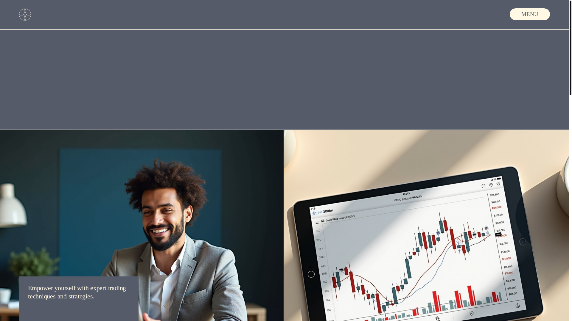 website screenshot of https://monkeyfinancehub.com/