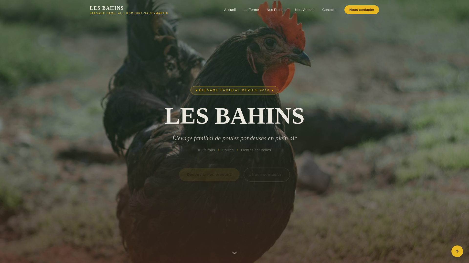 website screenshot of https://les-bahins.com/
