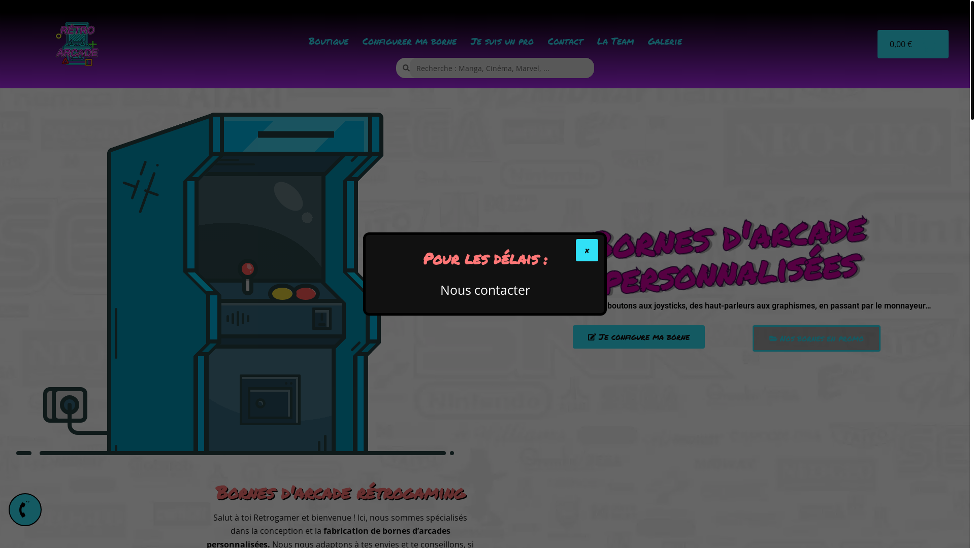 website screenshot of https://borneflechettes.com/