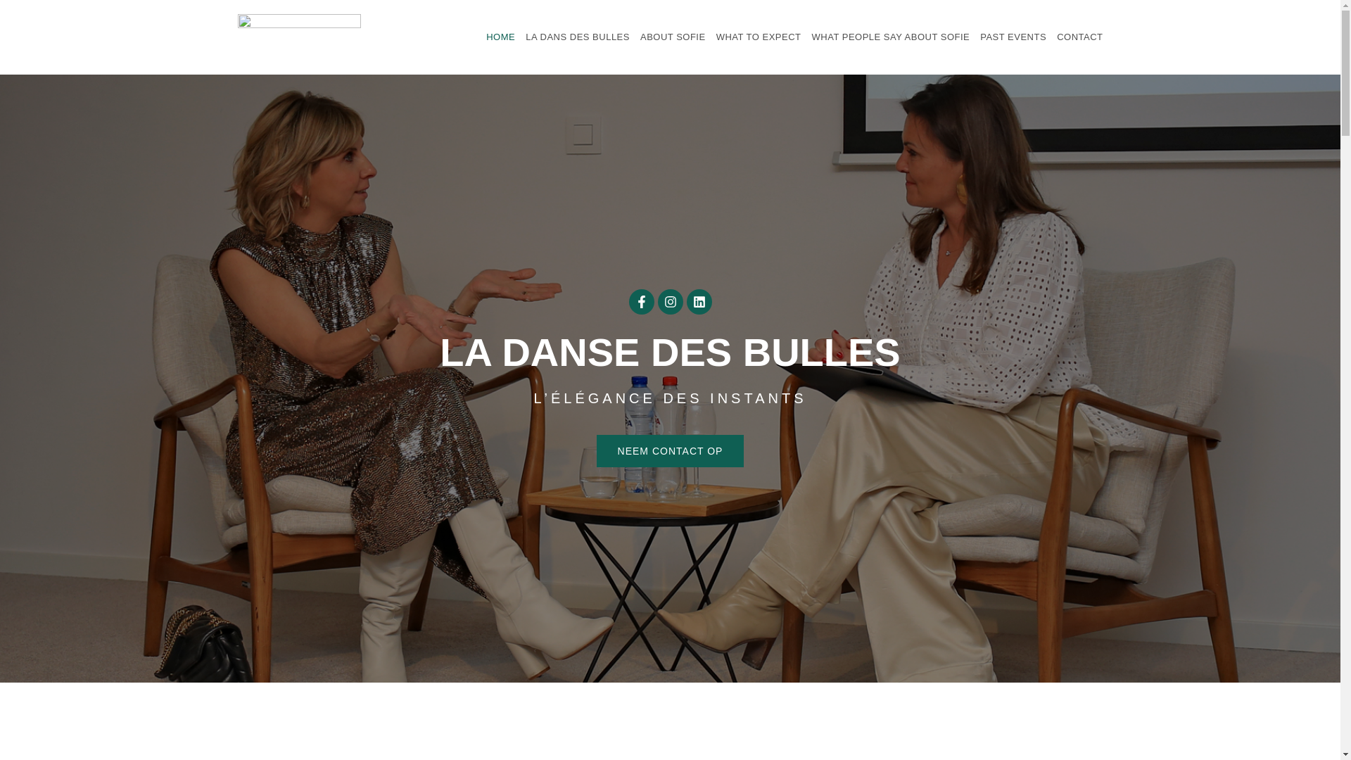 website screenshot of https://dansedesbulles.world/