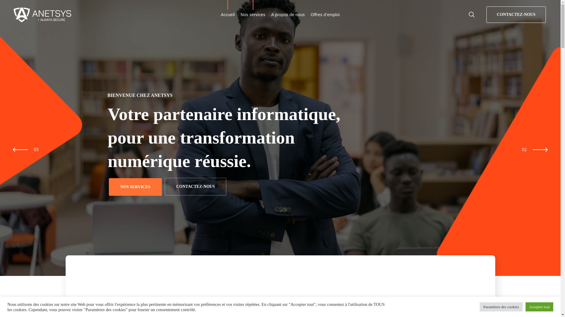 website screenshot of https://www.anetsys.com/