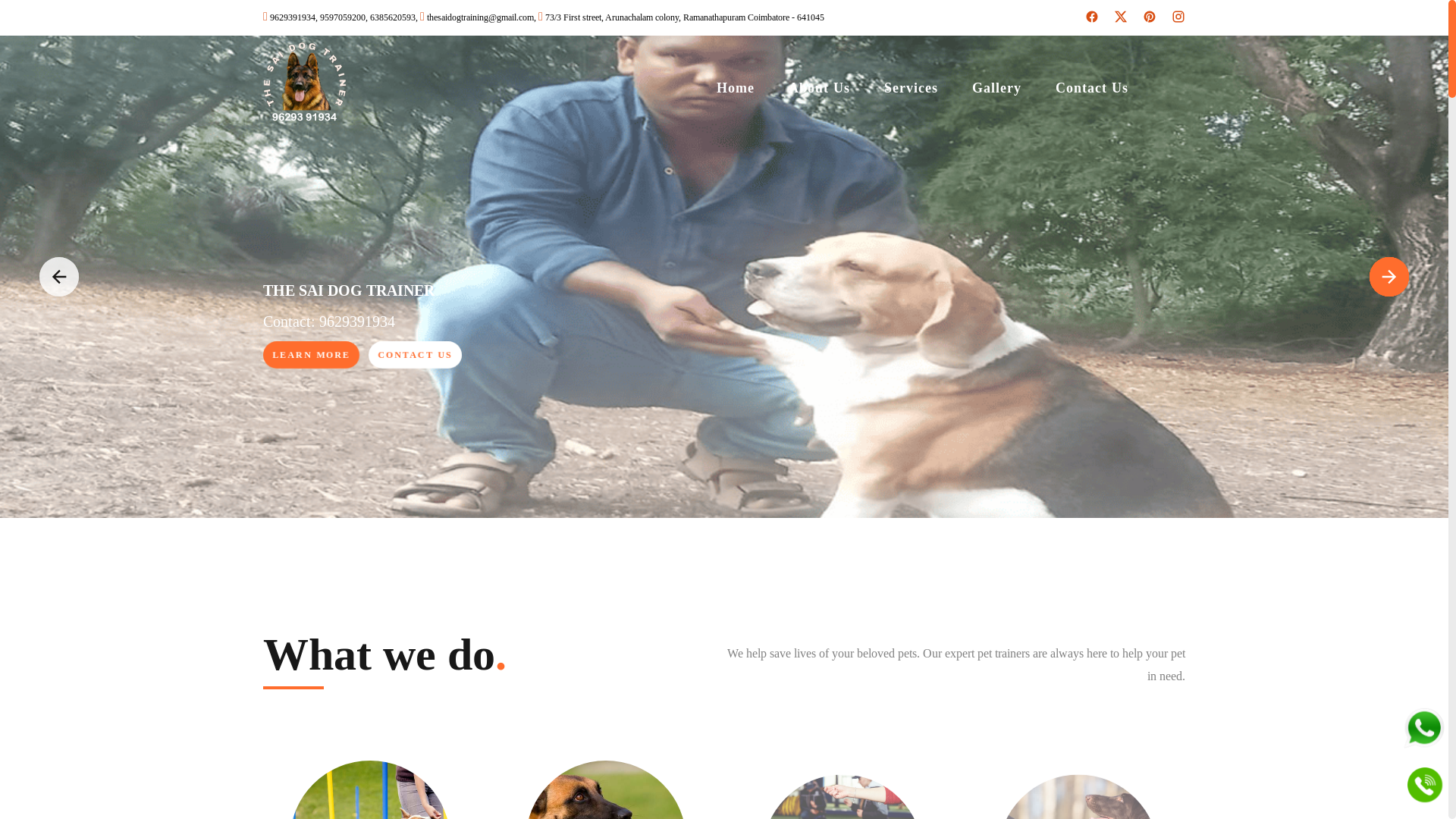 website screenshot of https://thesaidogtrainer.com/