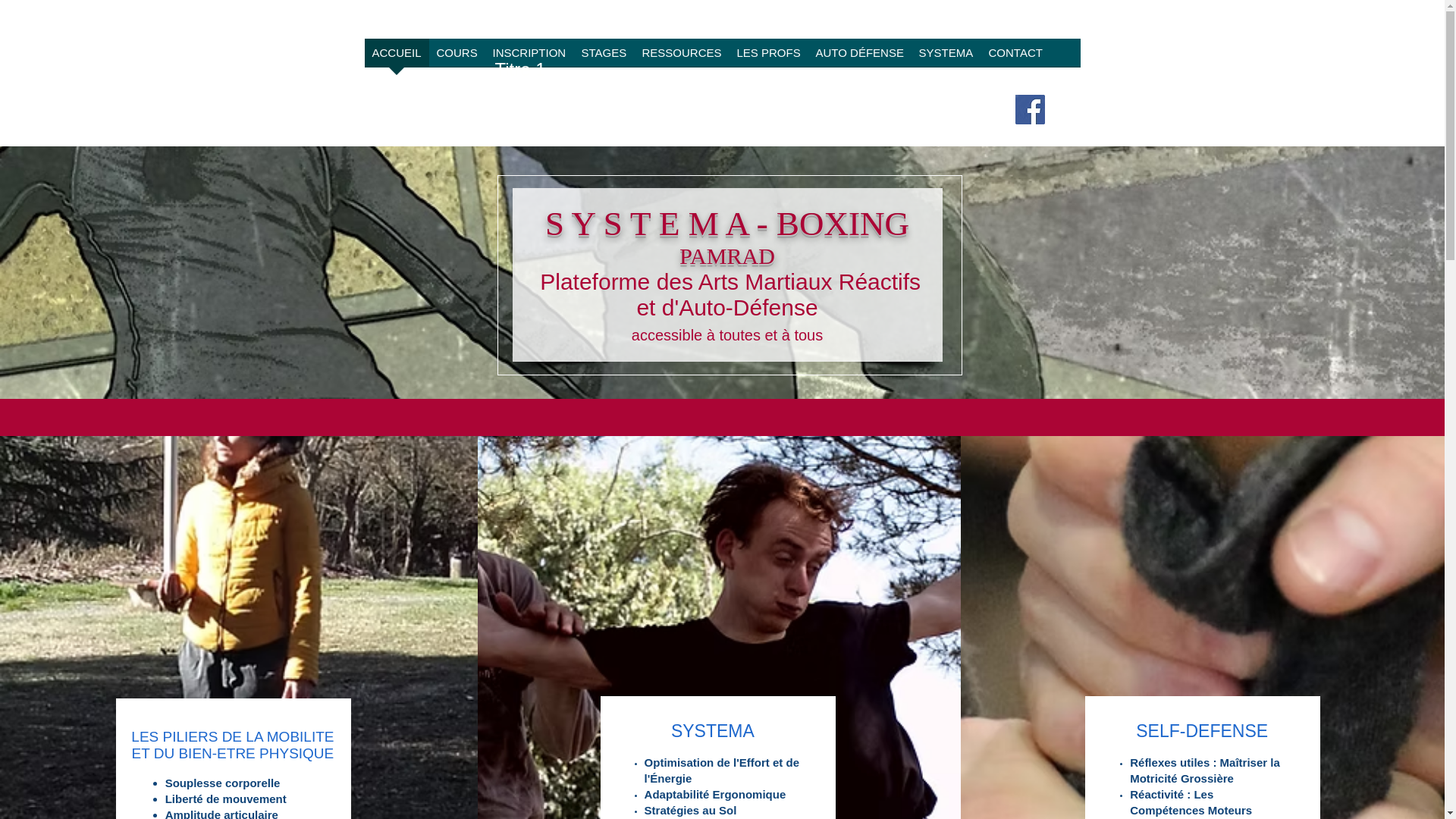 website screenshot of https://systema-boxing-lafouillade.com/