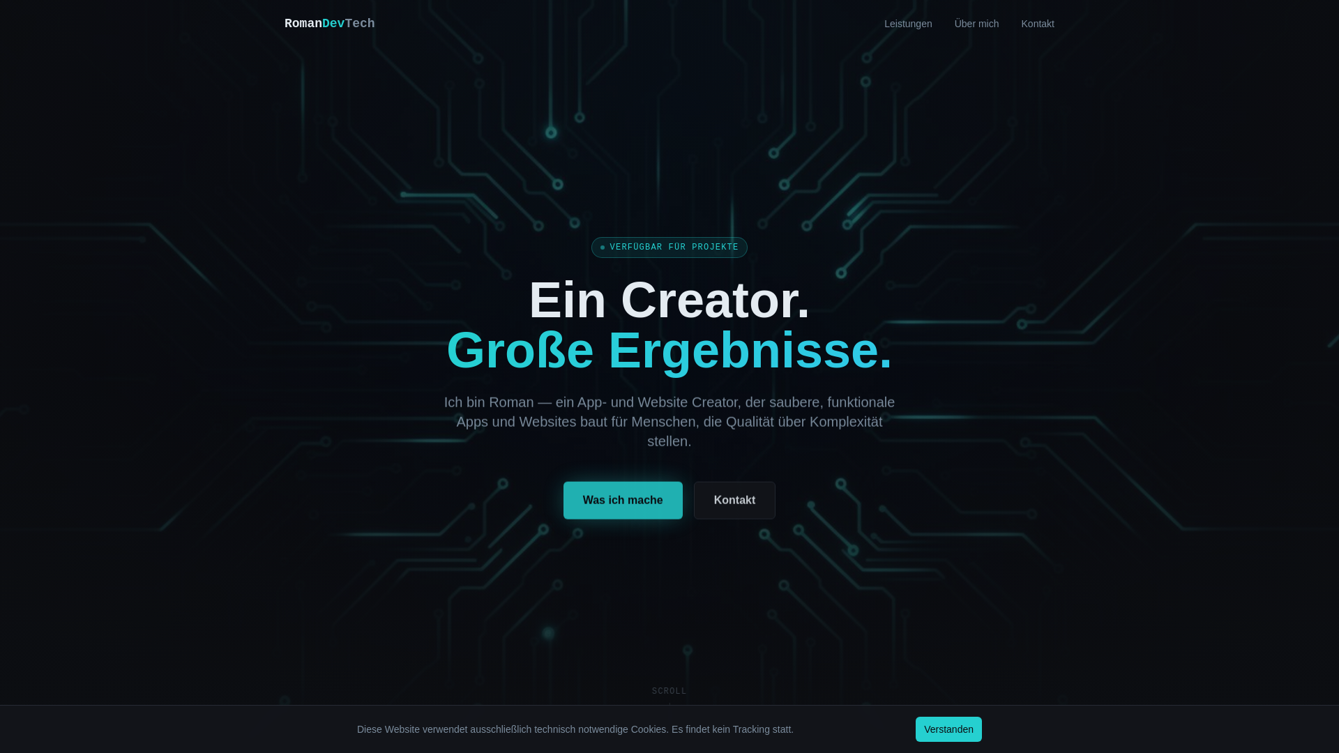 website screenshot of https://roman-dev.tech/