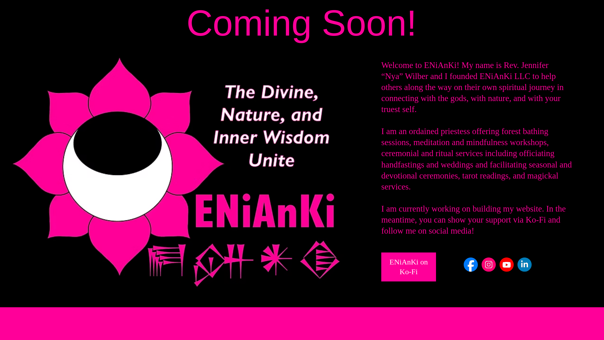 website screenshot of https://enianki.com/