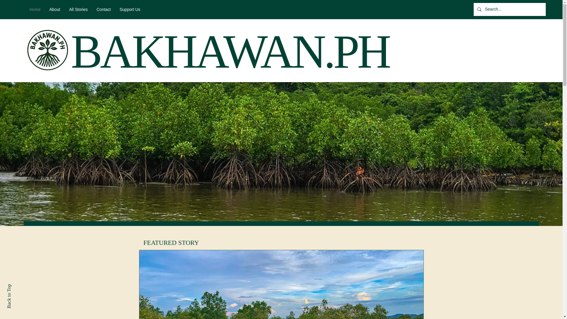 website screenshot of https://bakhawanph.org/