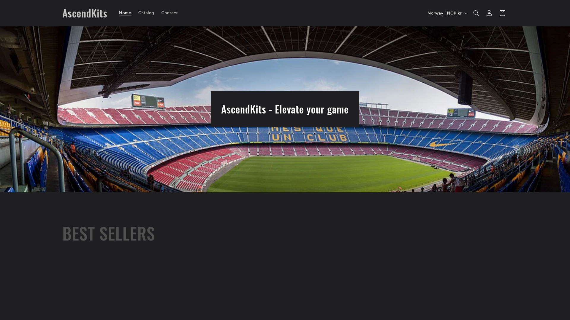 website screenshot of https://ascendkits.store